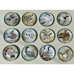 Haviland - Série 12 assiettes collection "Water Birds of the World"