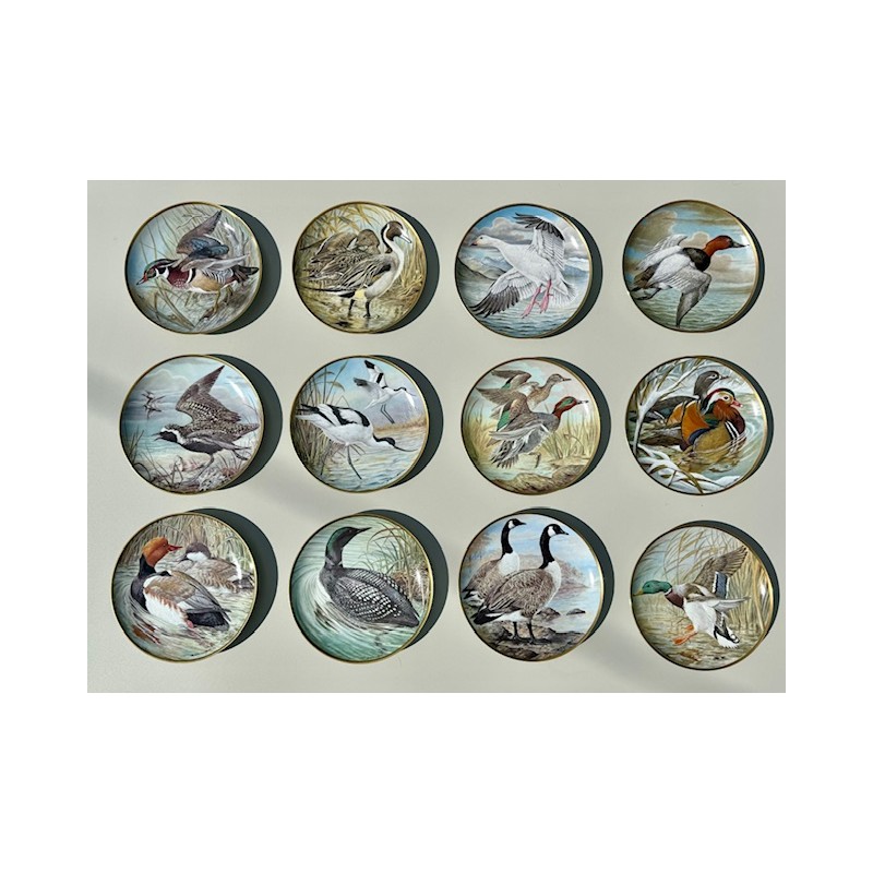 Haviland - Série 12 assiettes collection "Water Birds of the World"