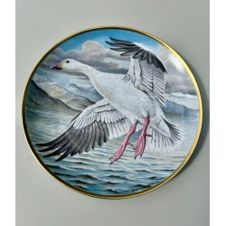 Haviland - Série 12 assiettes collection "Water Birds of the World"