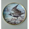 Haviland - Série 12 assiettes collection "Water Birds of the World"