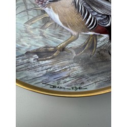 Haviland - Série 12 assiettes collection "Water Birds of the World"