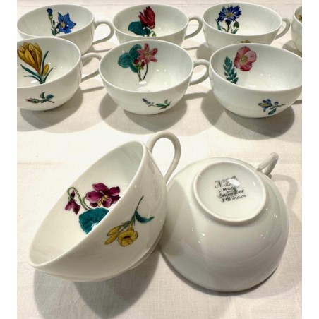 NBD Limoges -10 jolies tasses en porcelaine fine