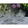 Baccarat - Service Cristallerie modèle Richelieu