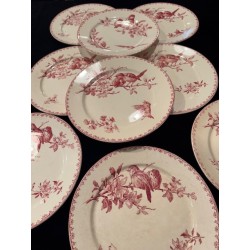 Sarreguemines - Assiettes Terre de fer modèle Favori Rose
