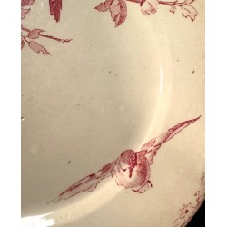 Sarreguemines - Assiettes Terre de fer modèle Favori Rose