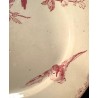 Sarreguemines - Assiettes Terre de fer modèle Favori Rose
