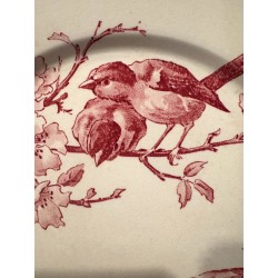 Sarreguemines - Assiettes Terre de fer modèle Favori Rose