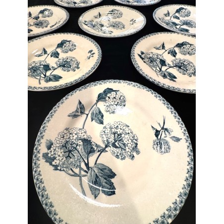 Gien - 8 assiettes modèle Boule de Neige en terre de fer